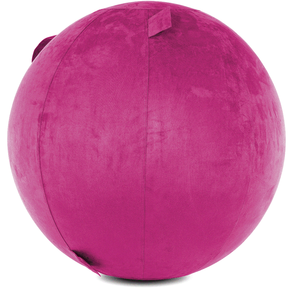 360 - YOGA-75-COWBALL-SRaspberry-Elect - Husband Pillow