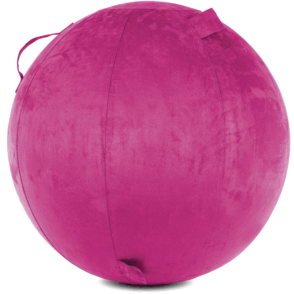 360 - YOGA-75-COWBALL-SRaspberry-Elect - Husband Pillow