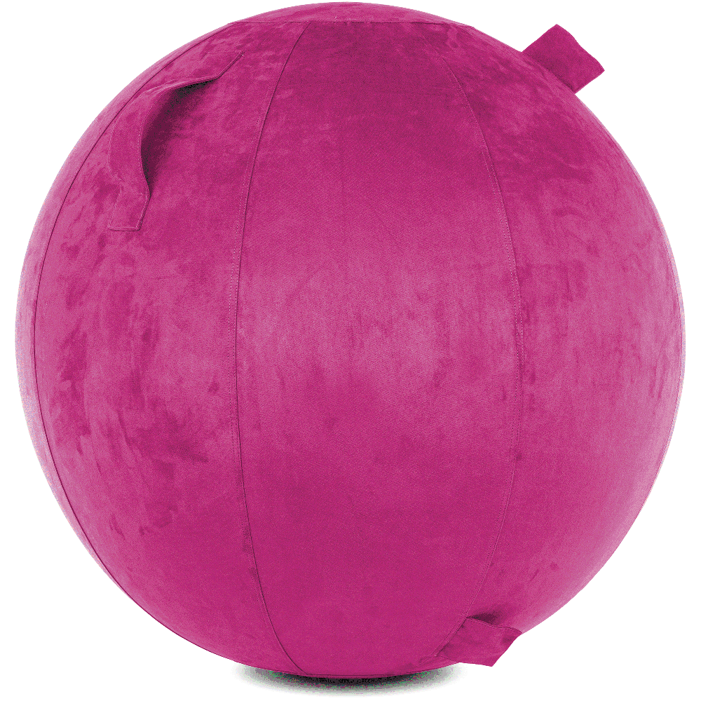 360 - YOGA-75-COWBALL-SRaspberry-Elect - Husband Pillow