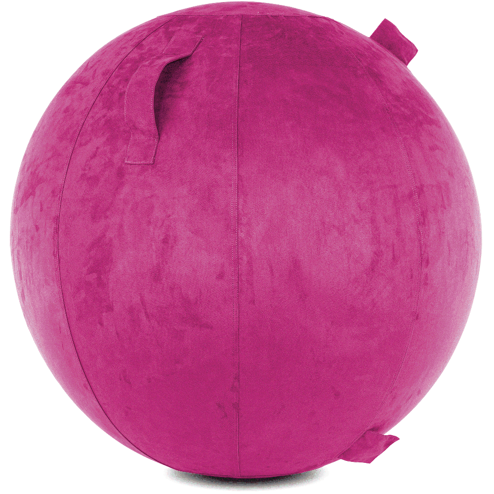 360 - YOGA-75-COWBALL-SRaspberry-Elect - Husband Pillow