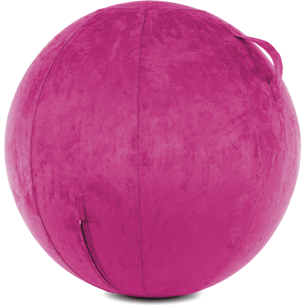 360 - YOGA-75-COWBALL-SRaspberry-Manual - Husband Pillow