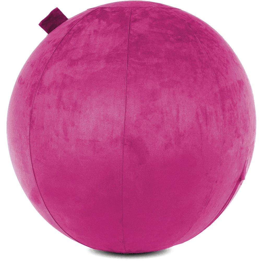 360 - YOGA-75-COWBALL-SRaspberry-Manual - Husband Pillow