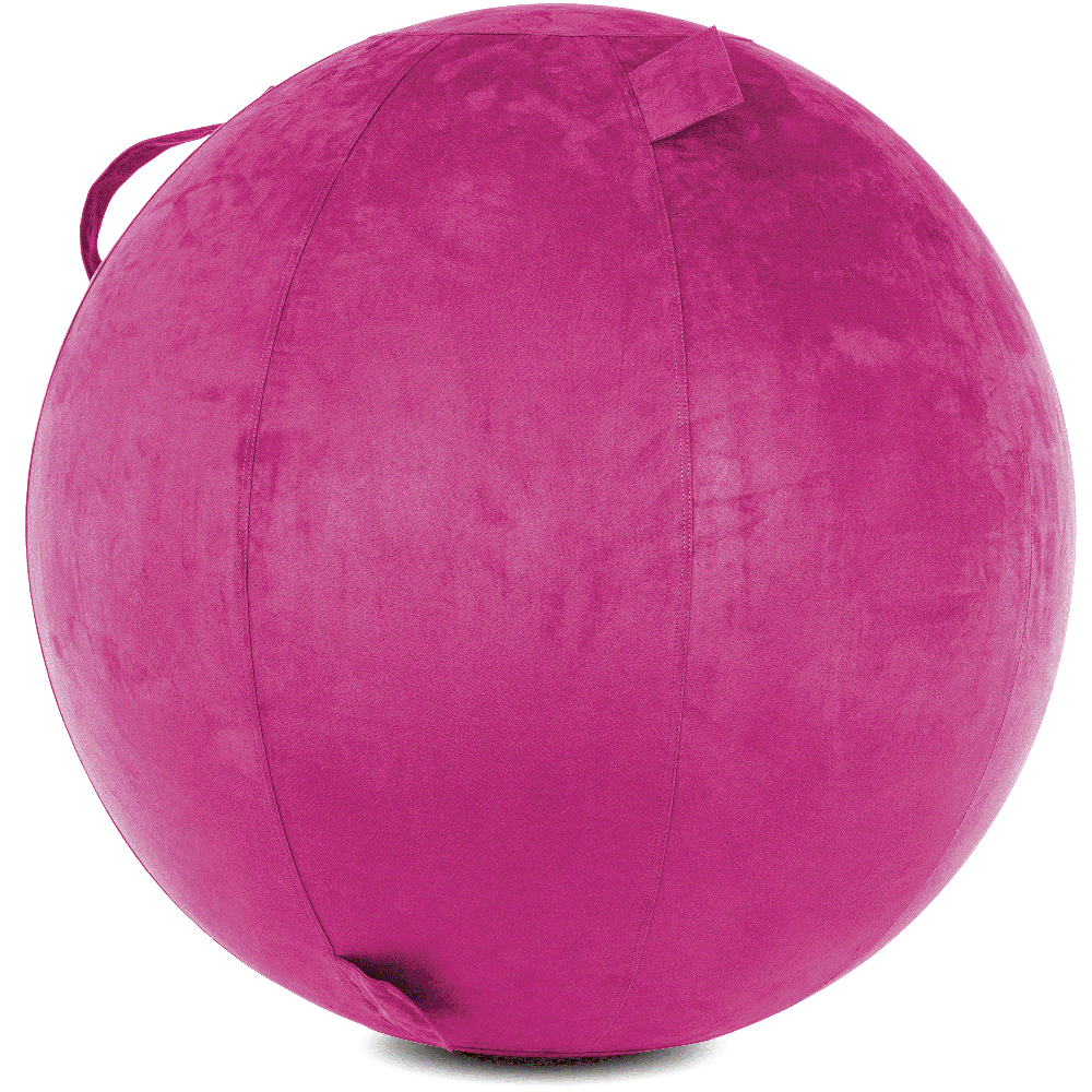 360 - YOGA-75-COWBALL-SRaspberry-Manual - Husband Pillow