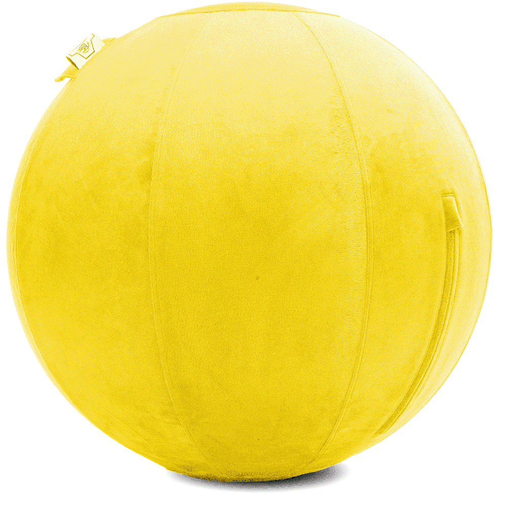 360 - YOGA-75-PBALL-BYellow-Manual - Husband Pillow