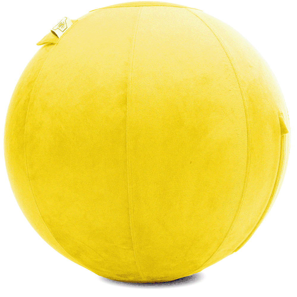 360 - YOGA-75-PBALL-BYellow-Manual - Husband Pillow