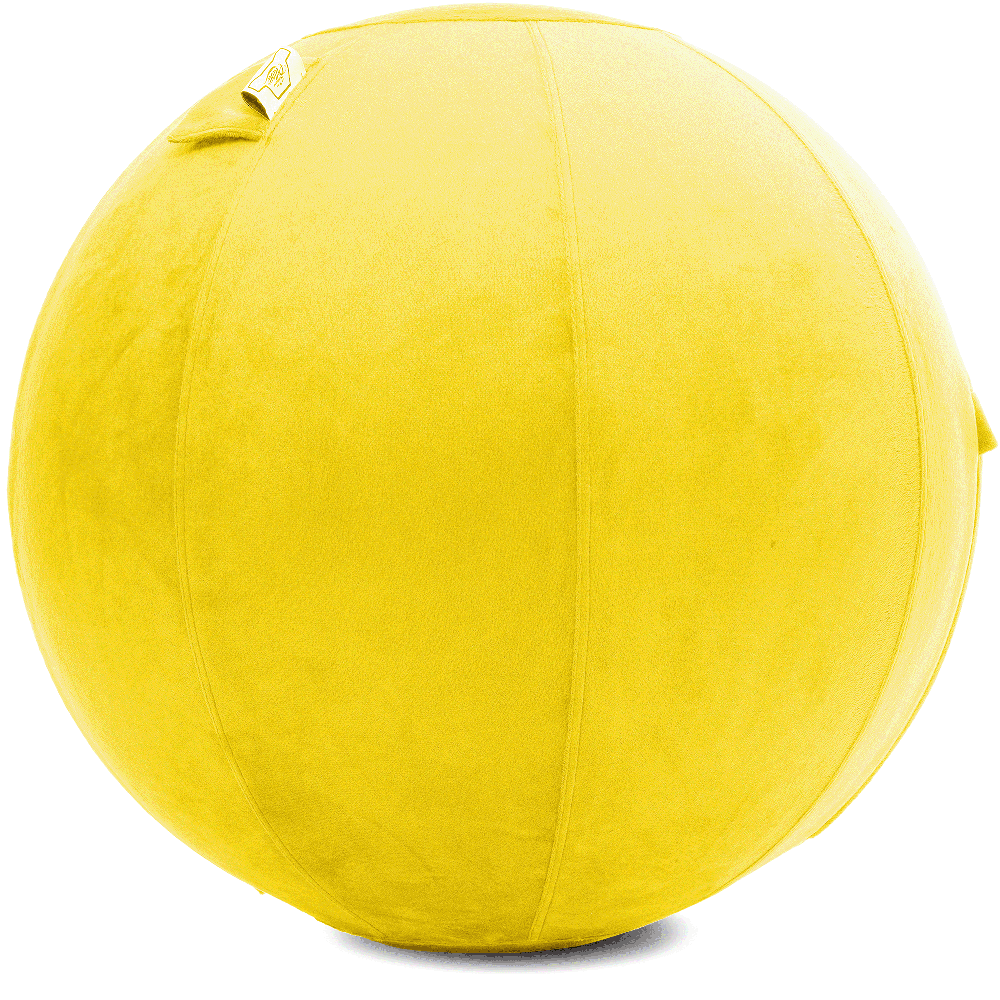 360 - YOGA-75-PBALL-BYellow-Manual - Husband Pillow