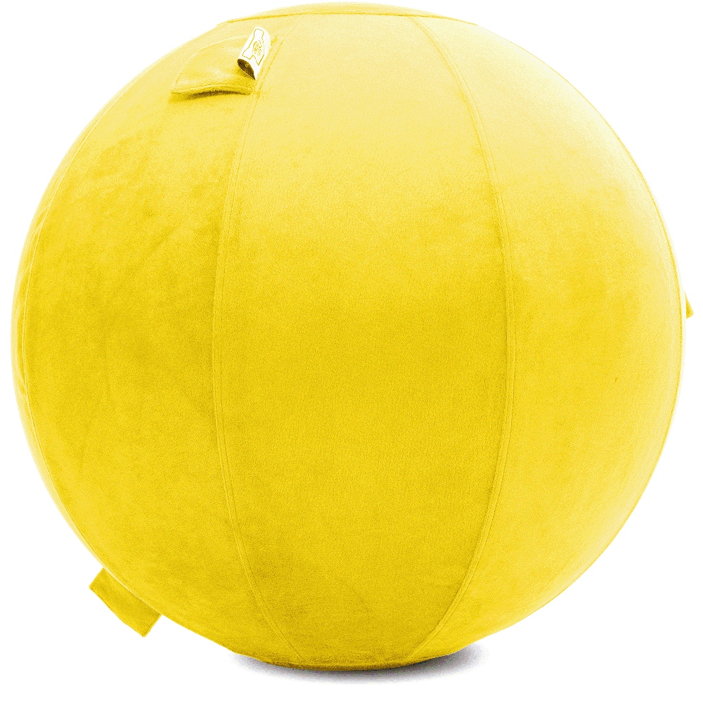 360 - YOGA-75-PBALL-BYellow-Manual - Husband Pillow