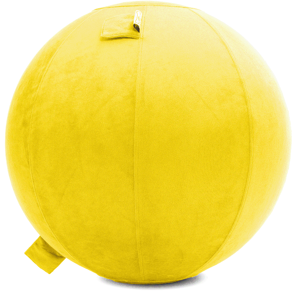 360 - YOGA-75-PBALL-BYellow-Manual - Husband Pillow