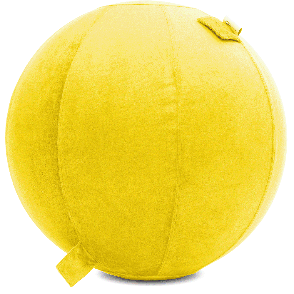 360 - YOGA-75-PBALL-BYellow-Manual - Husband Pillow