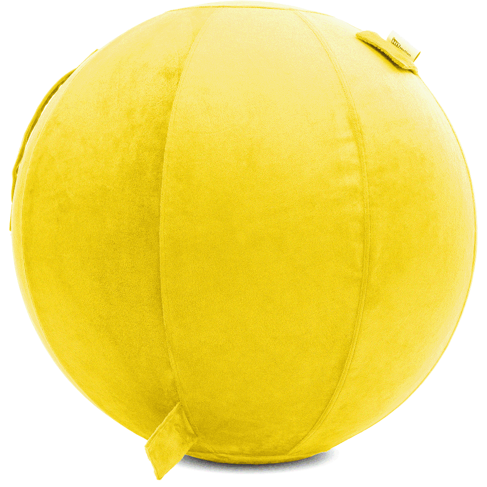 360 - YOGA-75-PBALL-BYellow-Manual - Husband Pillow