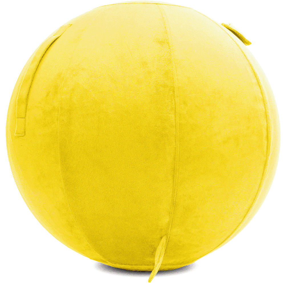 360 - YOGA-75-PBALL-BYellow-Manual - Husband Pillow