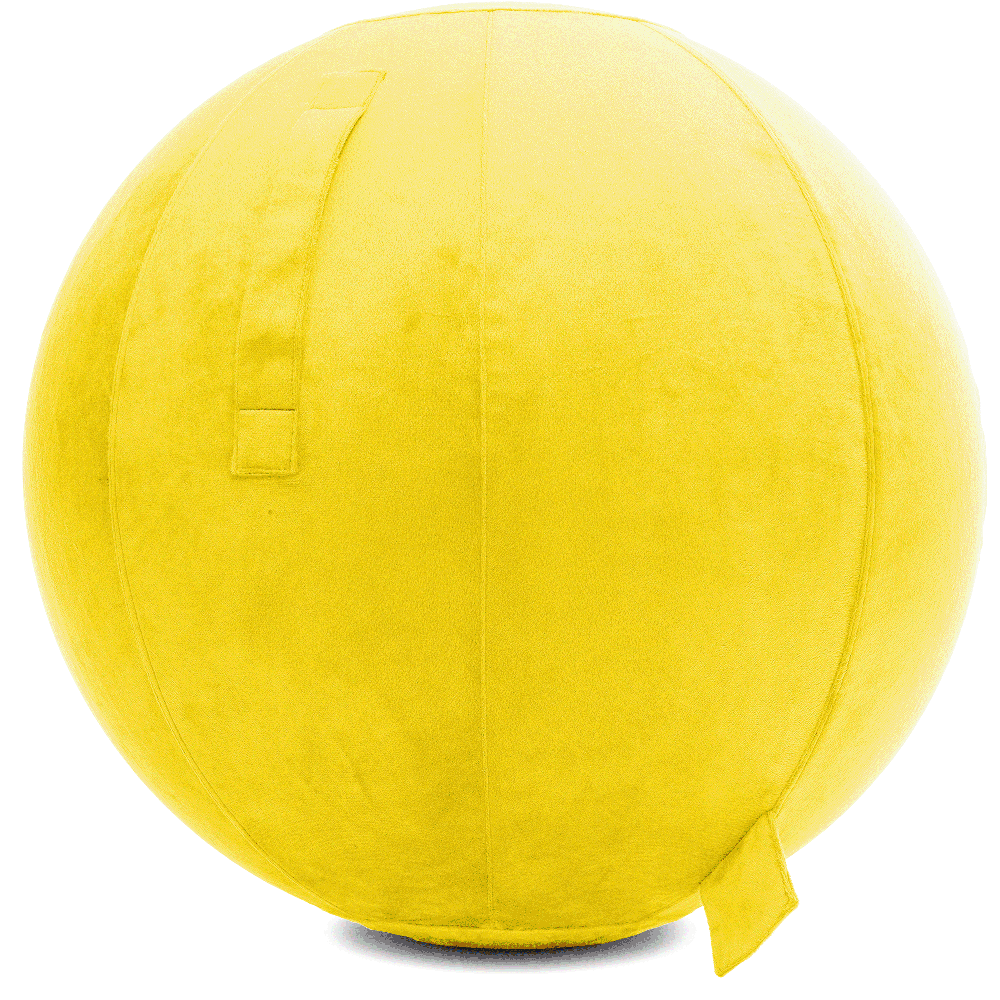 360 - YOGA-75-PBALL-BYellow-Manual - Husband Pillow