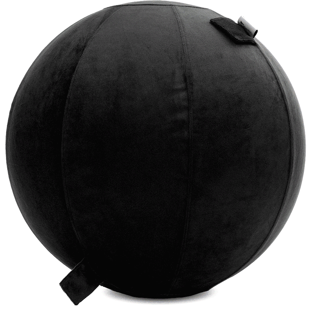 360 - YOGA-75-PBALL-Black-Elect - Husband Pillow