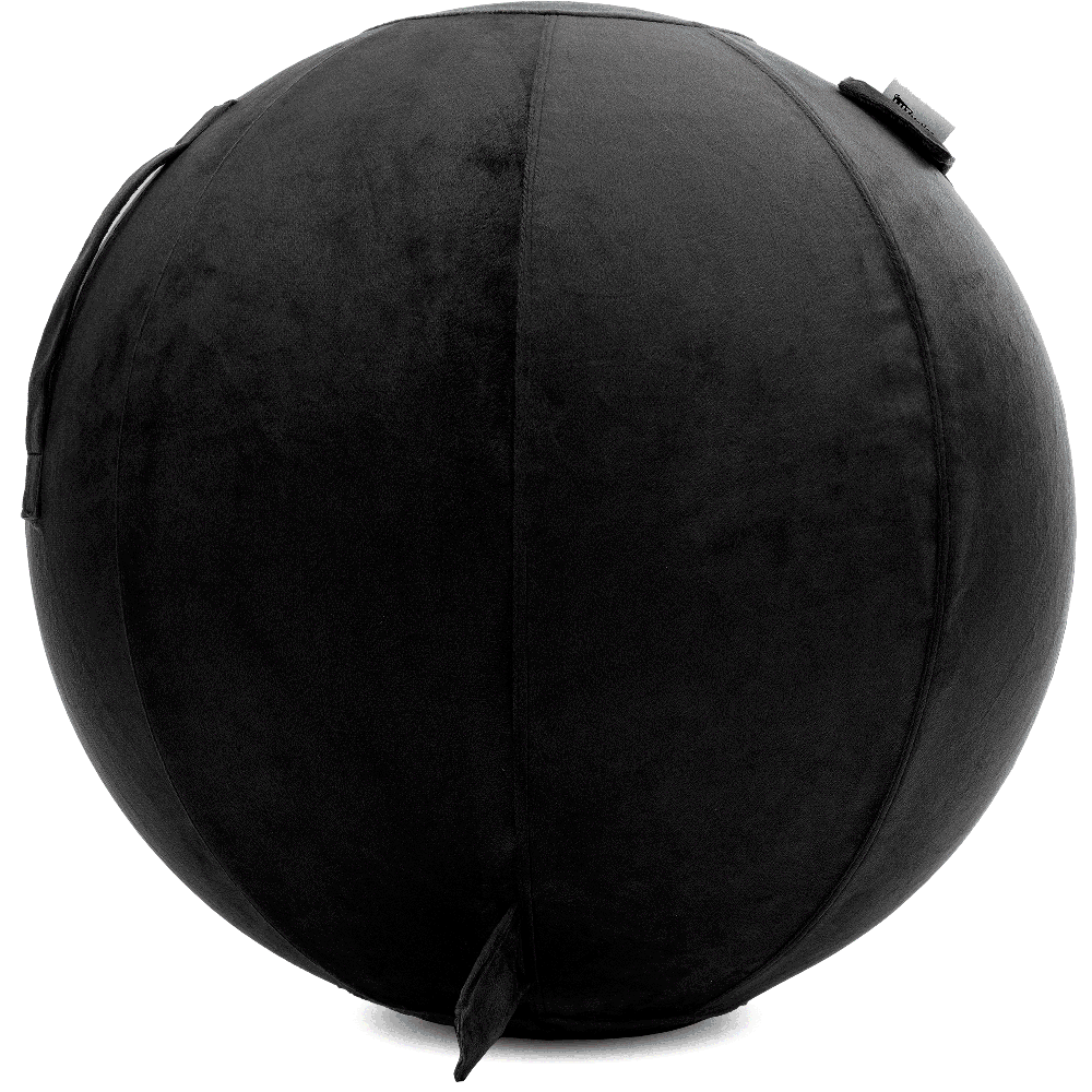 360 - YOGA-75-PBALL-Black-Elect - Husband Pillow