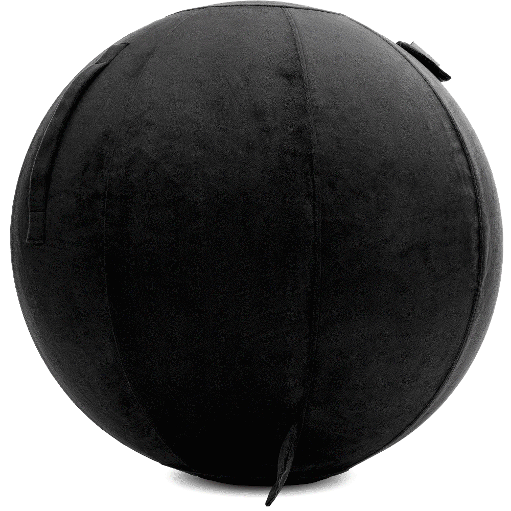 360 - YOGA-75-PBALL-Black-Elect - Husband Pillow