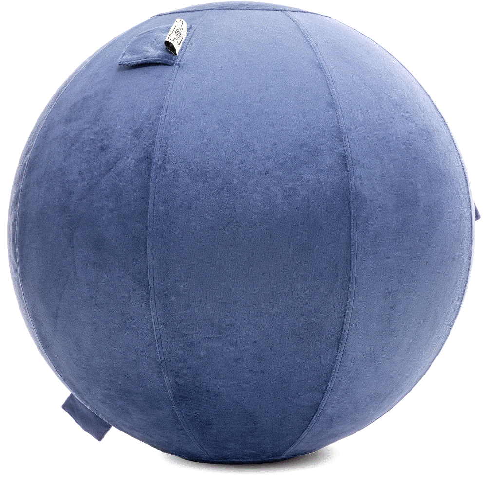 360 - YOGA-75-PBALL-DBlue-Manual - Husband Pillow