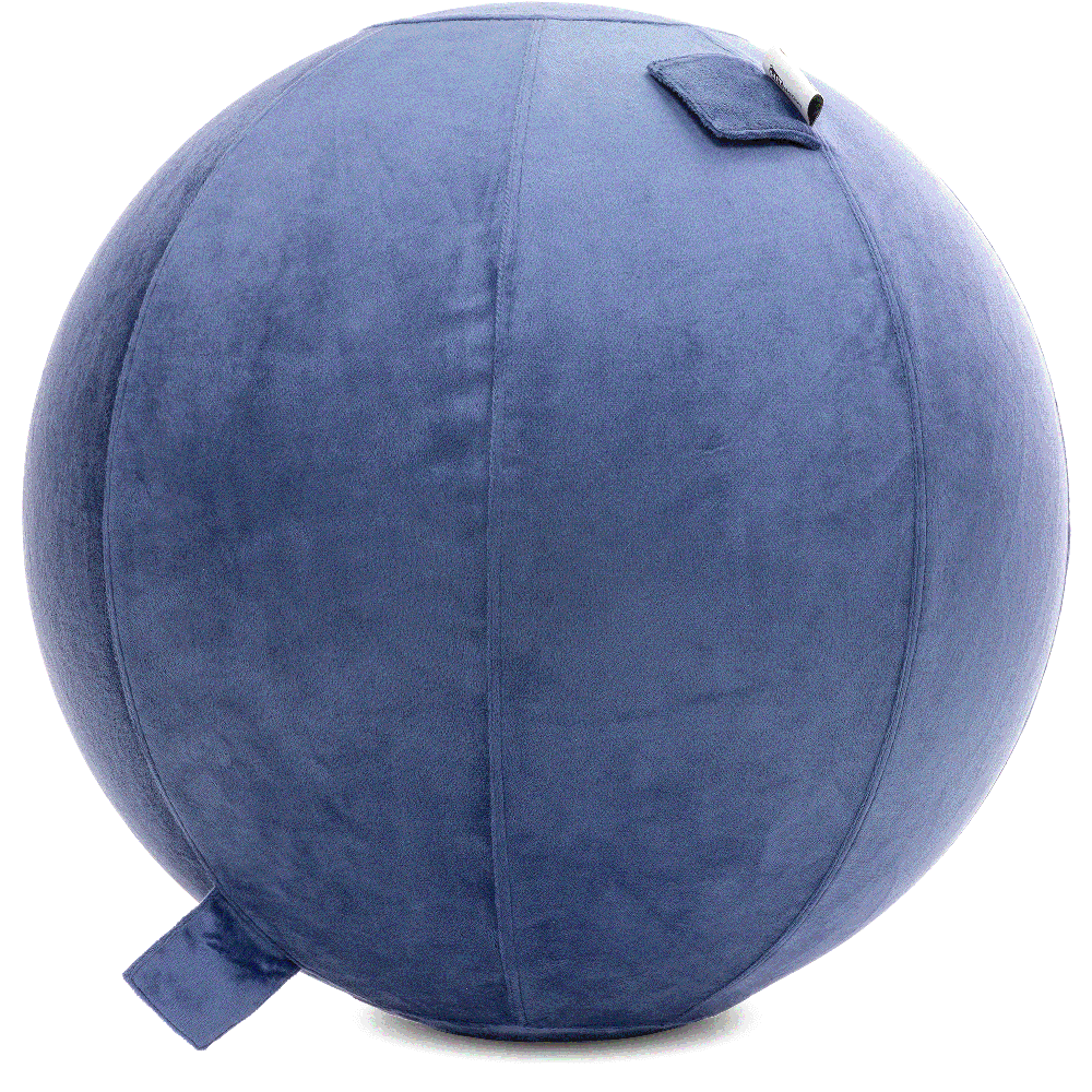 360 - YOGA-75-PBALL-DBlue-Manual - Husband Pillow