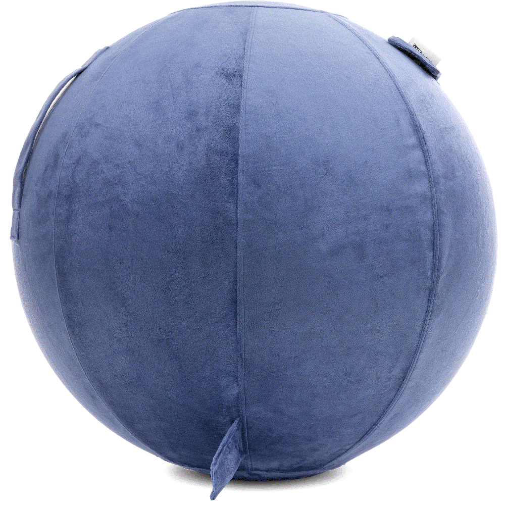 360 - YOGA-75-PBALL-DBlue-Manual - Husband Pillow