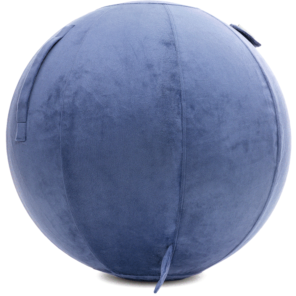 360 - YOGA-75-PBALL-DBlue-Manual - Husband Pillow