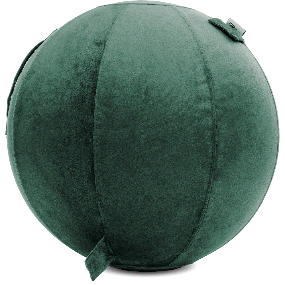 360 - YOGA-75-PBALL-DarkGreen-Elect - Husband Pillow