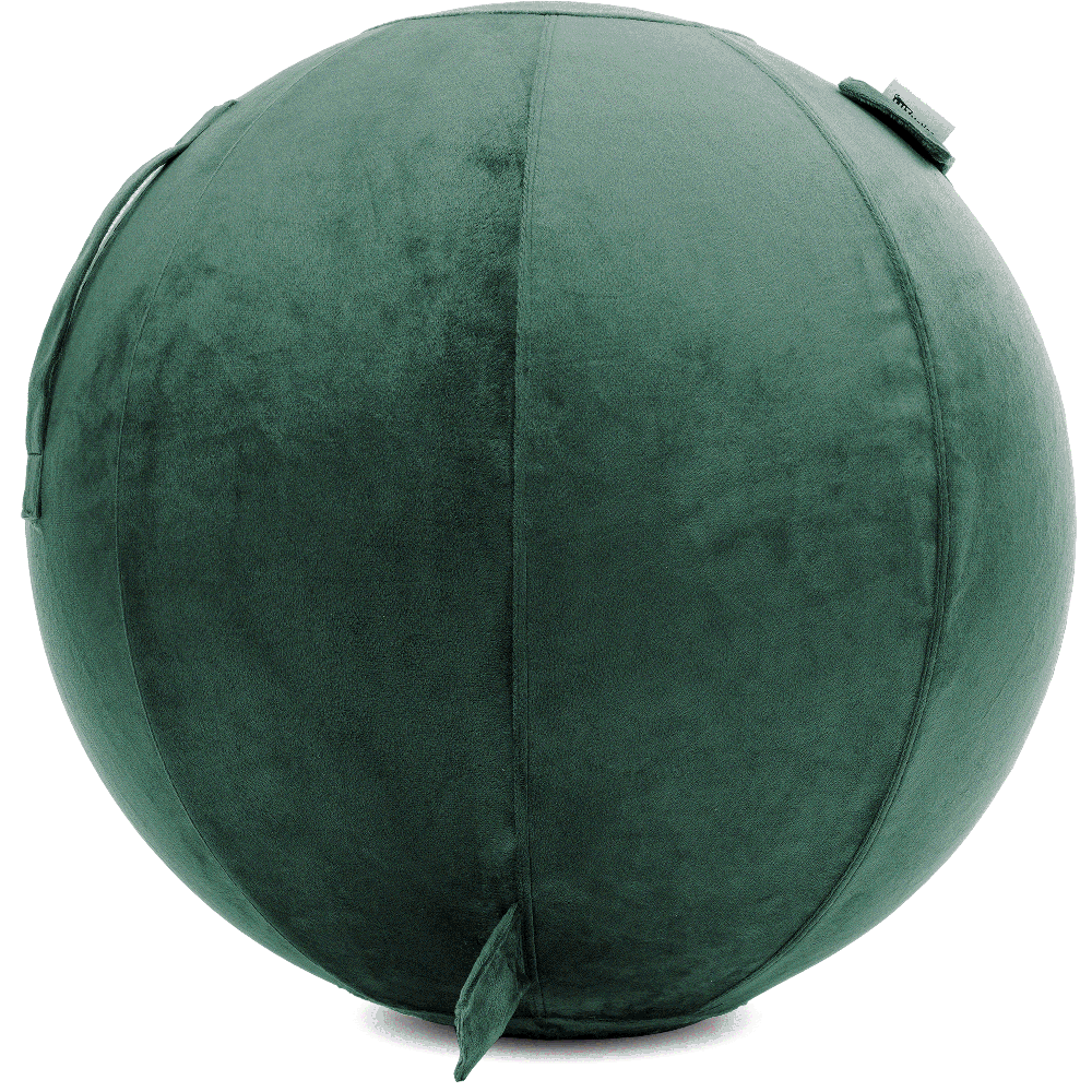 360 - YOGA-75-PBALL-DarkGreen-Elect - Husband Pillow