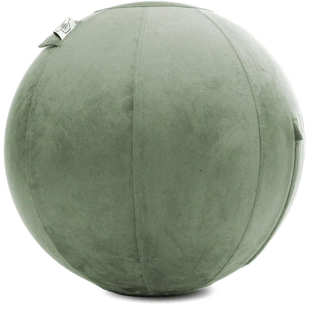 360 - YOGA-75-PBALL-DesertSage-Manual - Husband Pillow