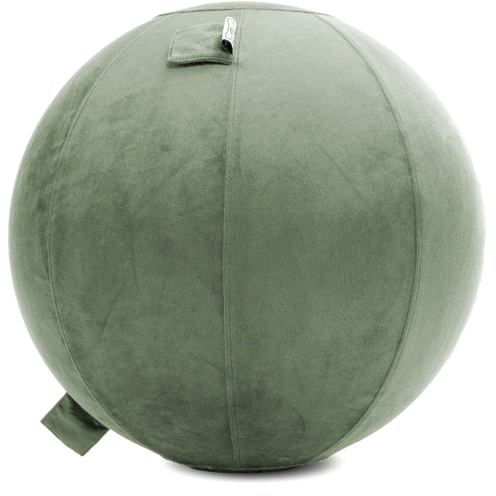 360 - YOGA-75-PBALL-DesertSage-Manual - Husband Pillow