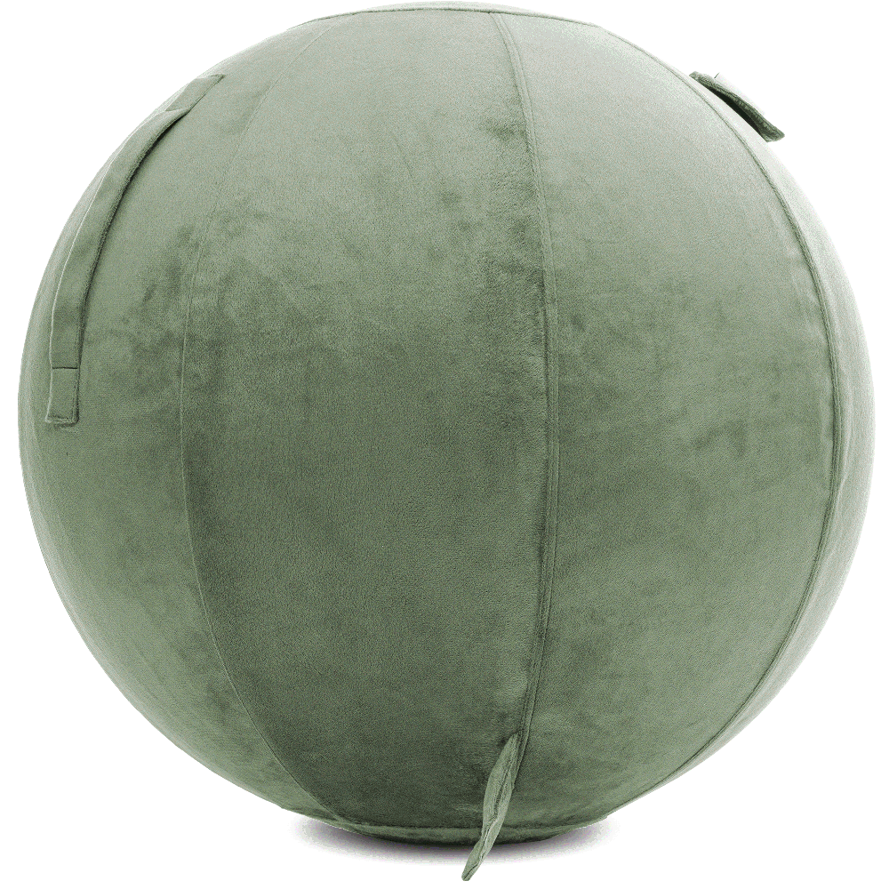 360 - YOGA-75-PBALL-DesertSage-Manual - Husband Pillow