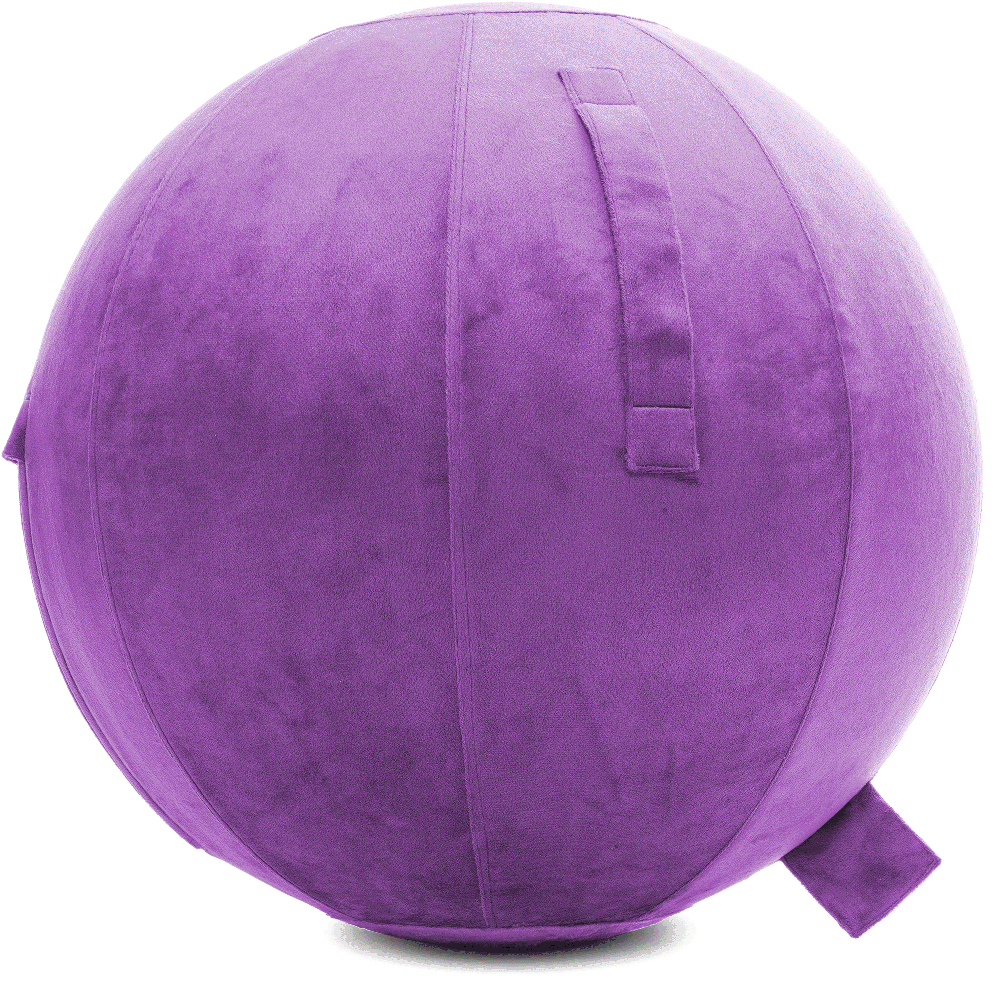 360 - YOGA-75-PBALL-Lt-Purple-Elect - Husband Pillow