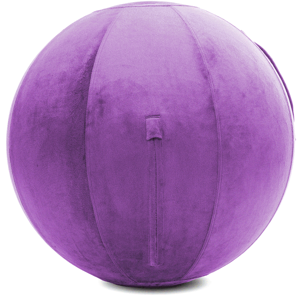 360 - YOGA-75-PBALL-Lt-Purple-Elect - Husband Pillow