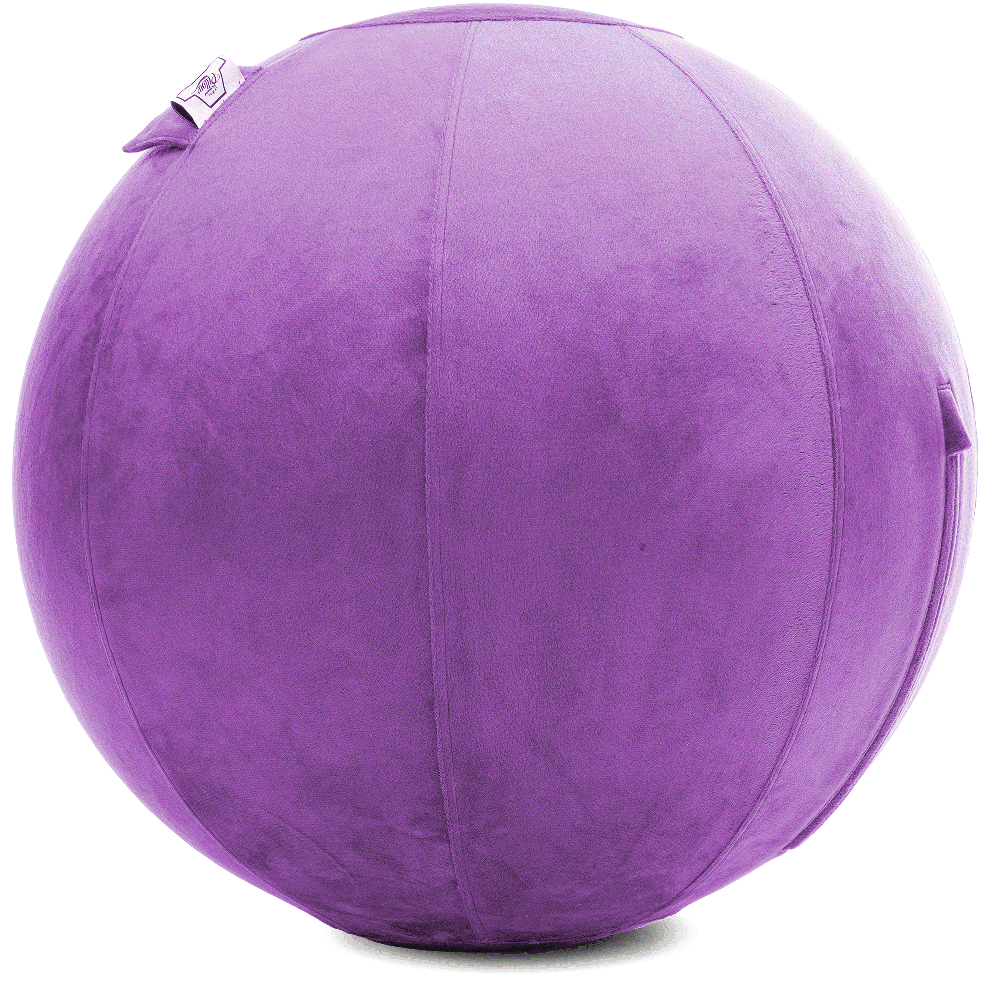 360 - YOGA-75-PBALL-Lt-Purple-Elect - Husband Pillow