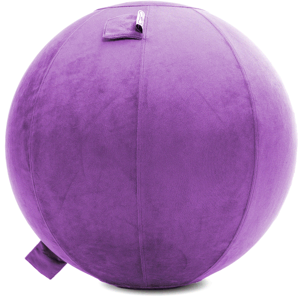 360 - YOGA-75-PBALL-Lt-Purple-Elect - Husband Pillow