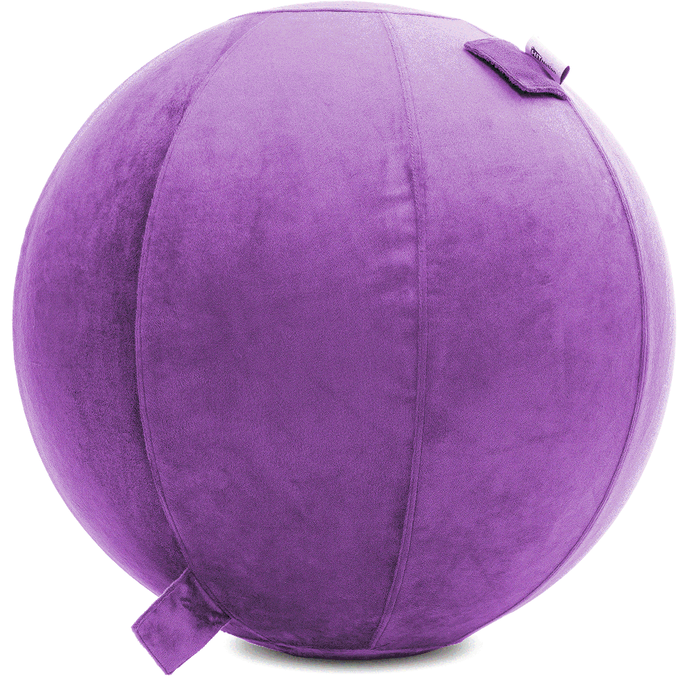 360 - YOGA-75-PBALL-Lt-Purple-Elect - Husband Pillow