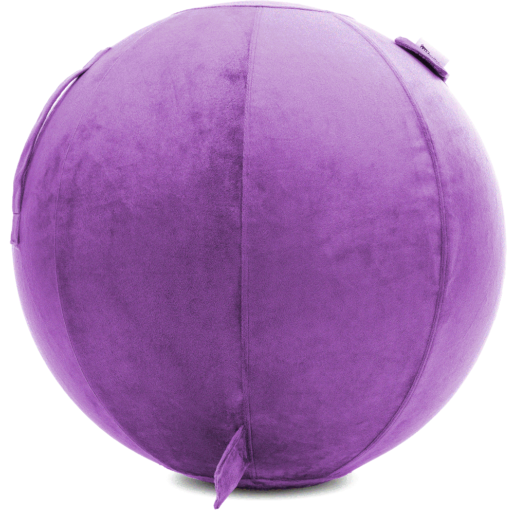 360 - YOGA-75-PBALL-Lt-Purple-Elect - Husband Pillow