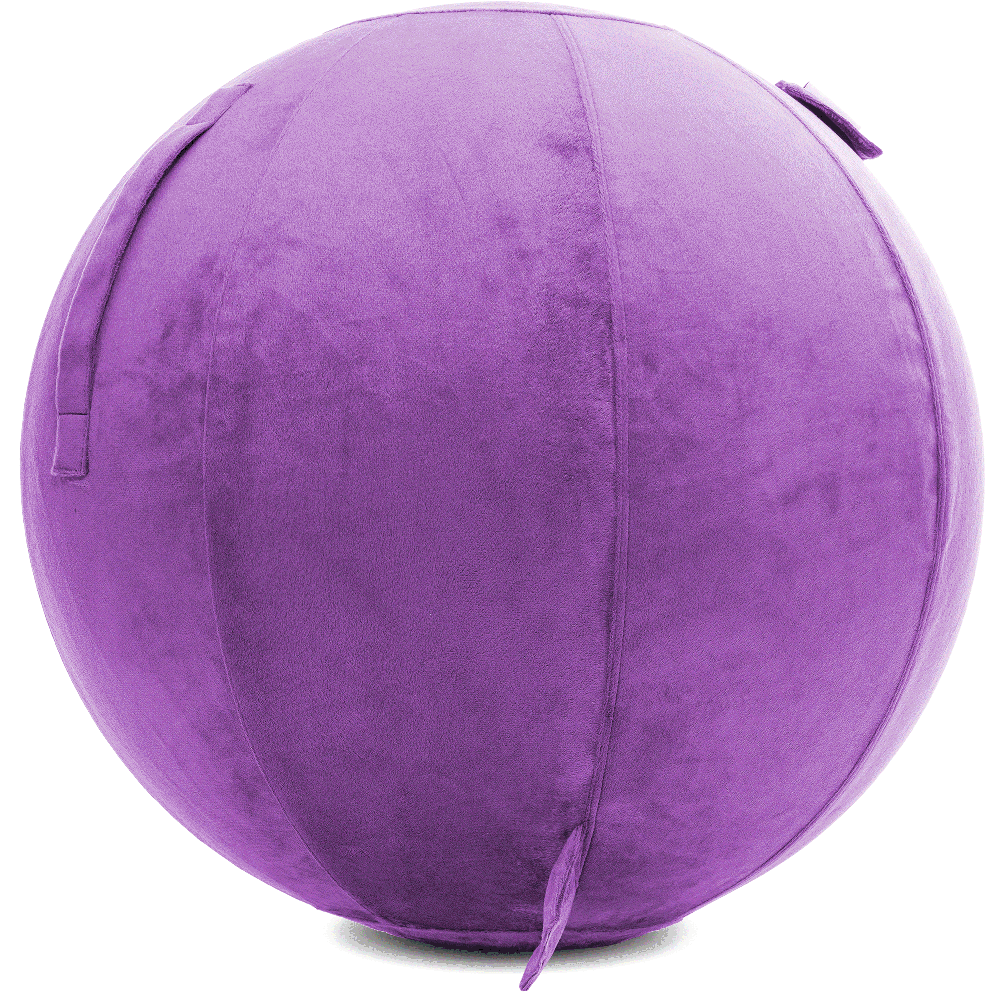 360 - YOGA-75-PBALL-Lt-Purple-Elect - Husband Pillow