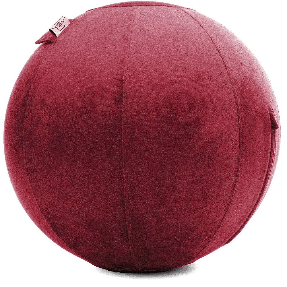 360 - YOGA-75-PBALL-Maroon-Elect - Husband Pillow