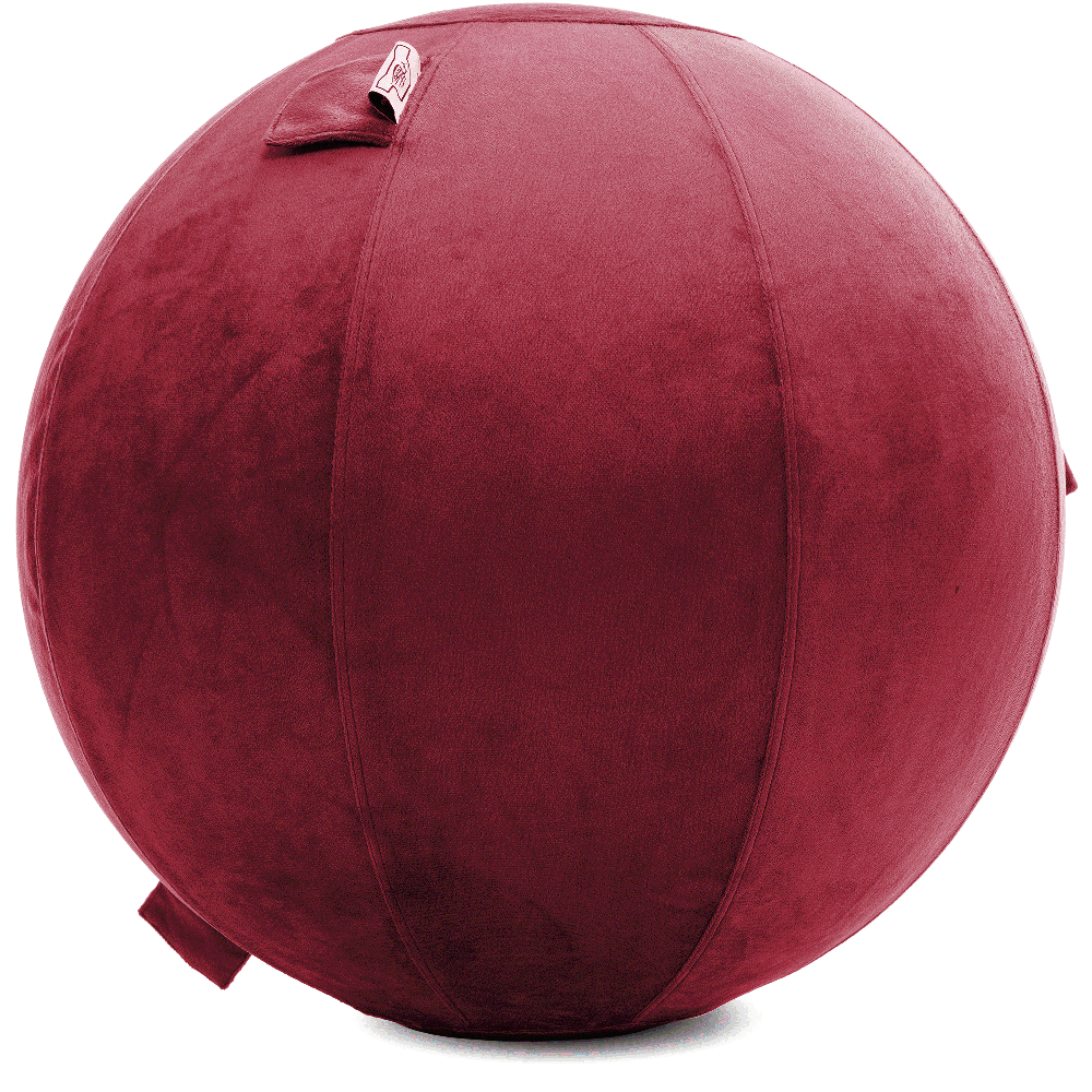 360 - YOGA-75-PBALL-Maroon-Elect - Husband Pillow