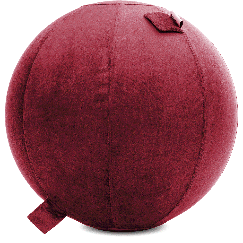 360 - YOGA-75-PBALL-Maroon-Elect - Husband Pillow