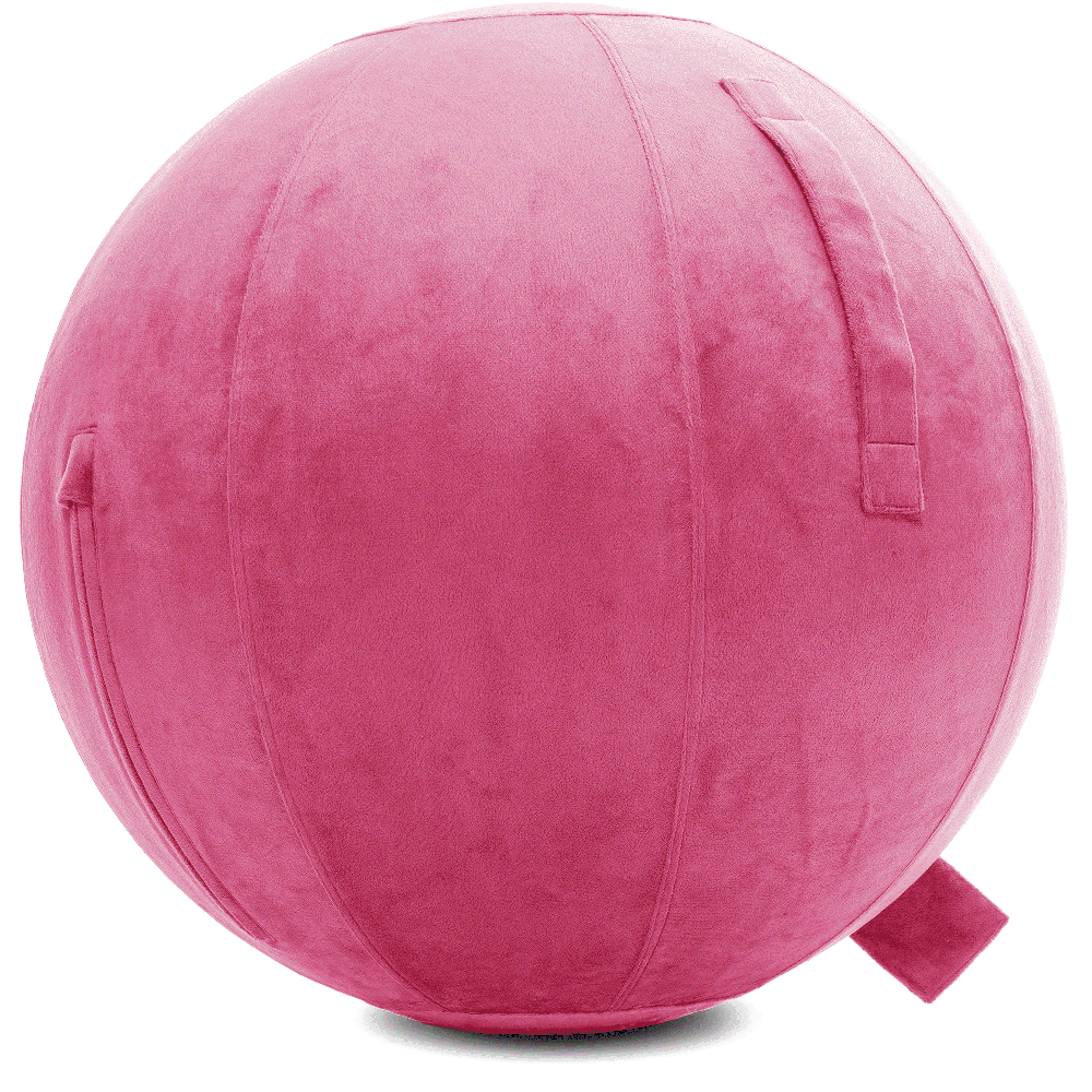 360 - YOGA-75-PBALL-Pink-Elect - Husband Pillow