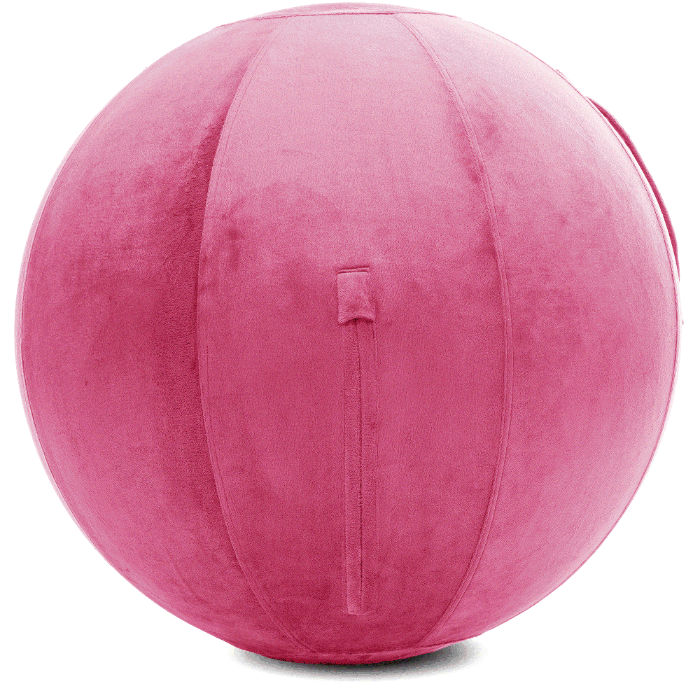 360 - YOGA-75-PBALL-Pink-Elect - Husband Pillow