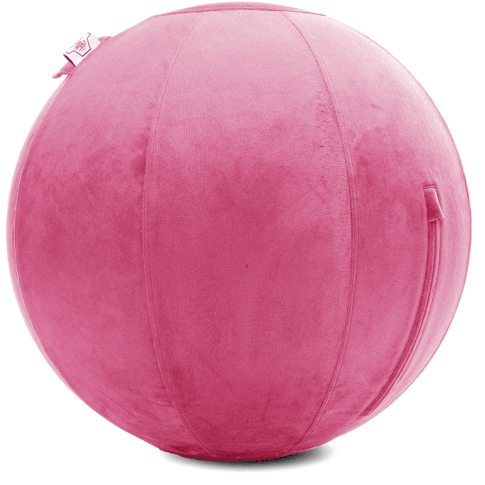 360 - YOGA-75-PBALL-Pink-Elect - Husband Pillow