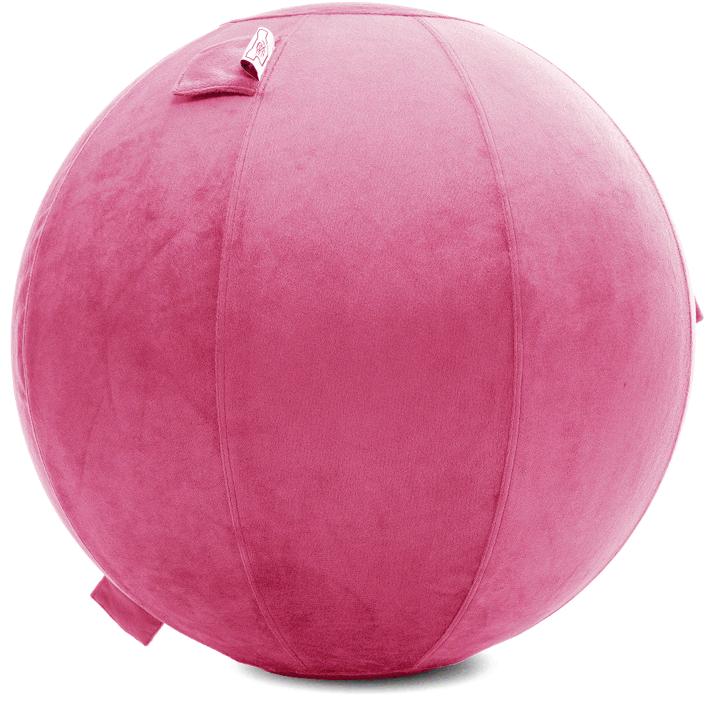 360 - YOGA-75-PBALL-Pink-Elect - Husband Pillow