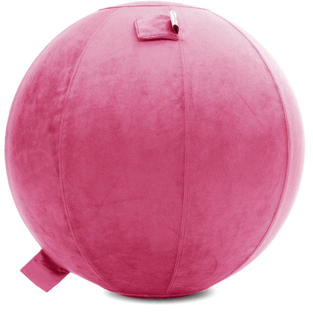 360 - YOGA-75-PBALL-Pink-Elect - Husband Pillow