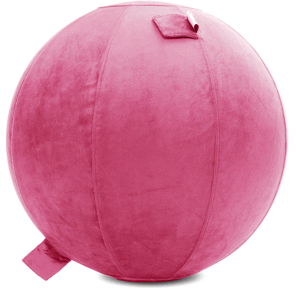 360 - YOGA-75-PBALL-Pink-Elect - Husband Pillow