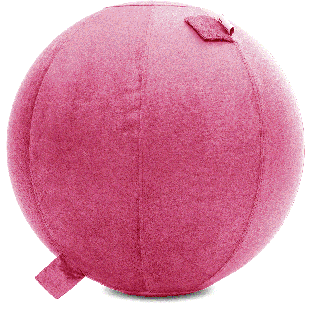 360 - YOGA-75-PBALL-Pink-Elect - Husband Pillow