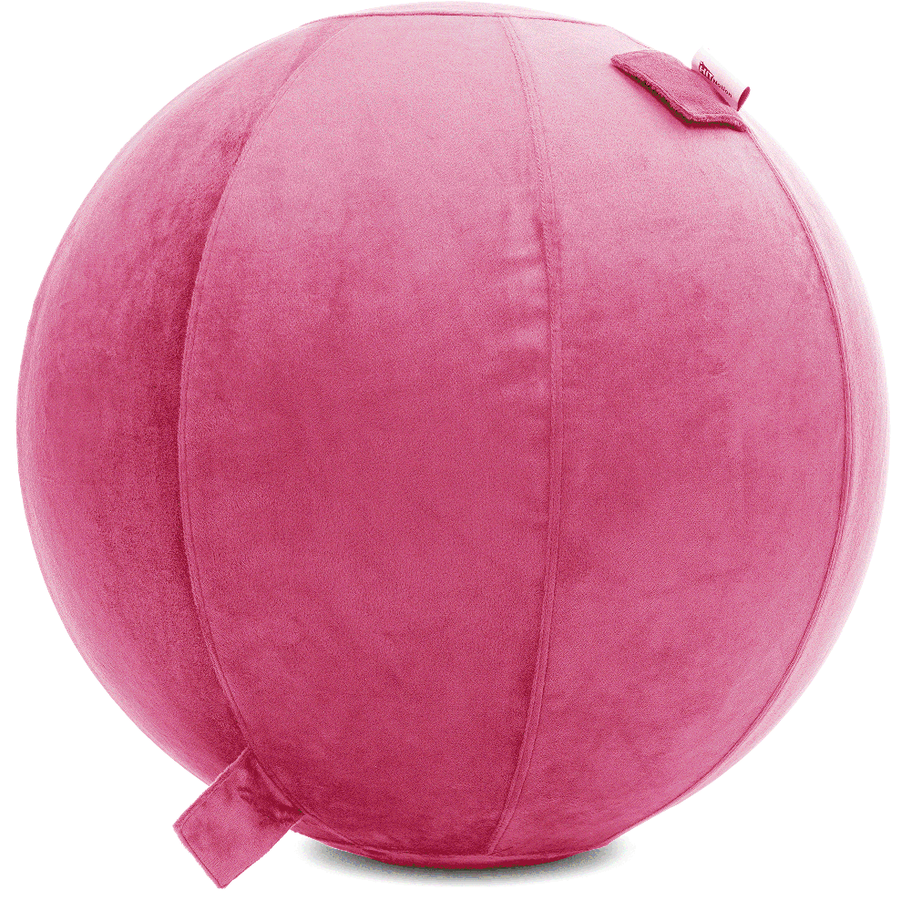 360 - YOGA-75-PBALL-Pink-Elect - Husband Pillow