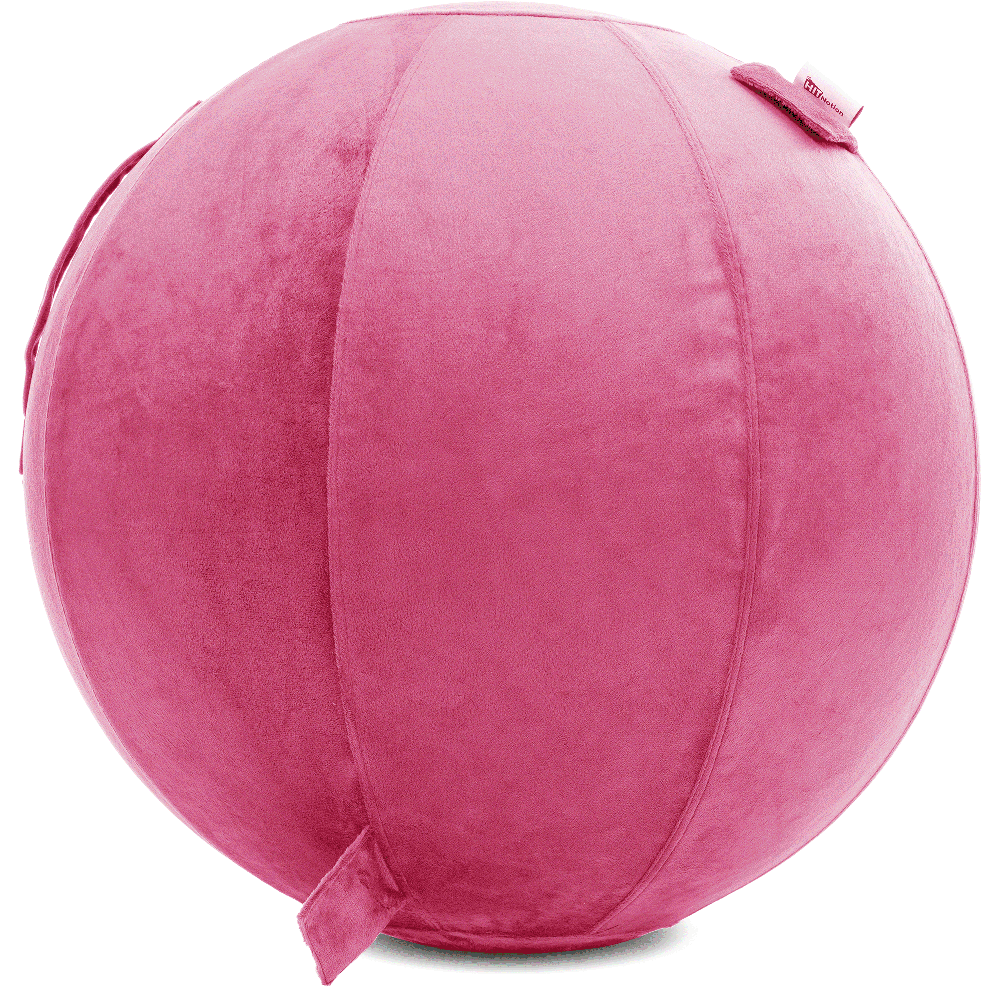 360 - YOGA-75-PBALL-Pink-Elect - Husband Pillow