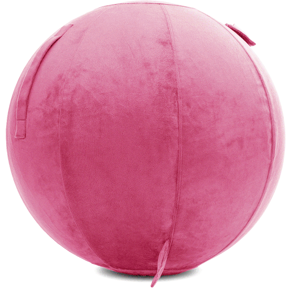 360 - YOGA-75-PBALL-Pink-Elect - Husband Pillow