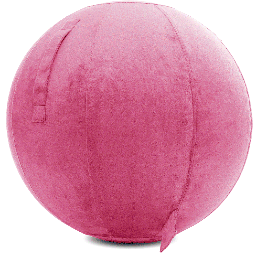 360 - YOGA-75-PBALL-Pink-Elect - Husband Pillow