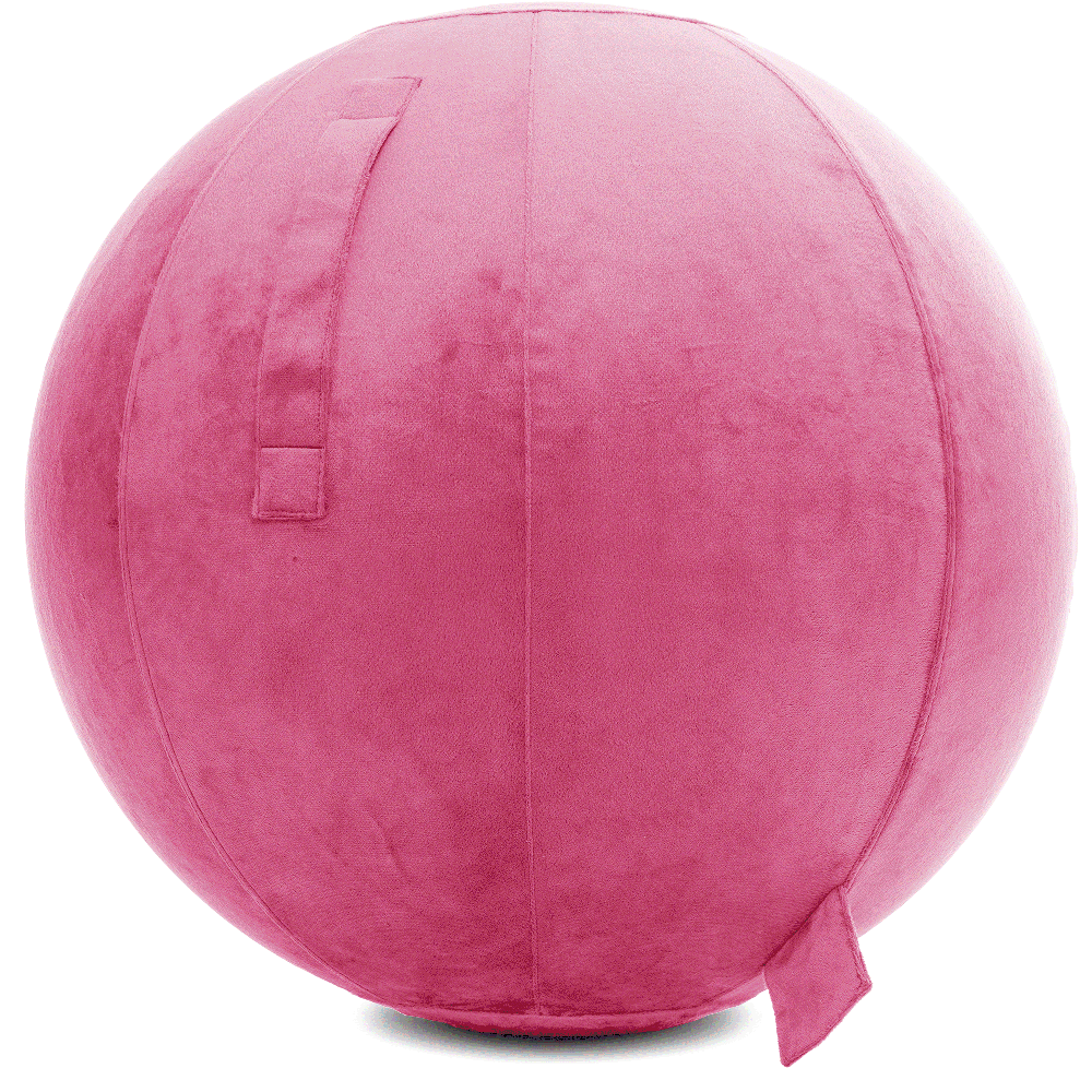 360 - YOGA-75-PBALL-Pink-Elect - Husband Pillow